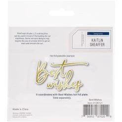 Outlet ✨ Pinkfresh Studio Best Wishes Die 👏 -Copic Shop D444500S 3